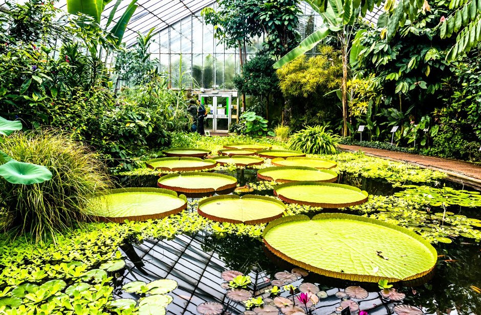 Royal Botanic Garden Edinburgh, United Kingdom